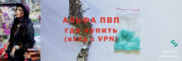 хмурый Ладушкин