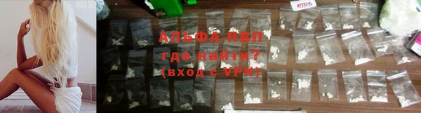 хмурый Ладушкин