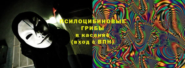 хмурый Ладушкин