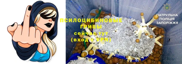 хмурый Ладушкин