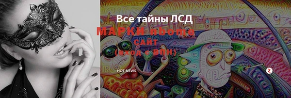 хмурый Ладушкин