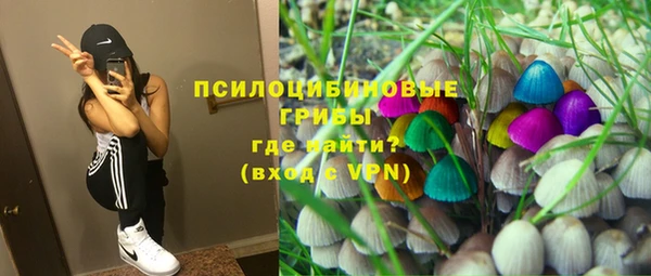 хмурый Ладушкин